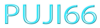 PUJI66